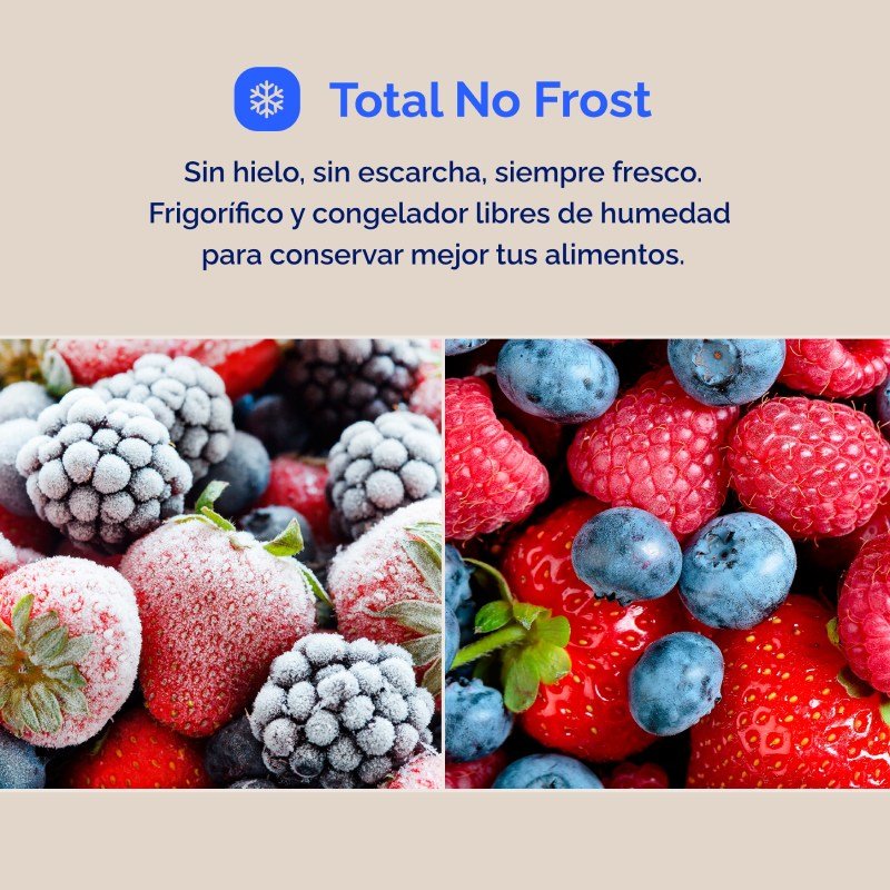 frigo americano artica afea17689f553i 176×90 nf inox dsp - Imagen 4